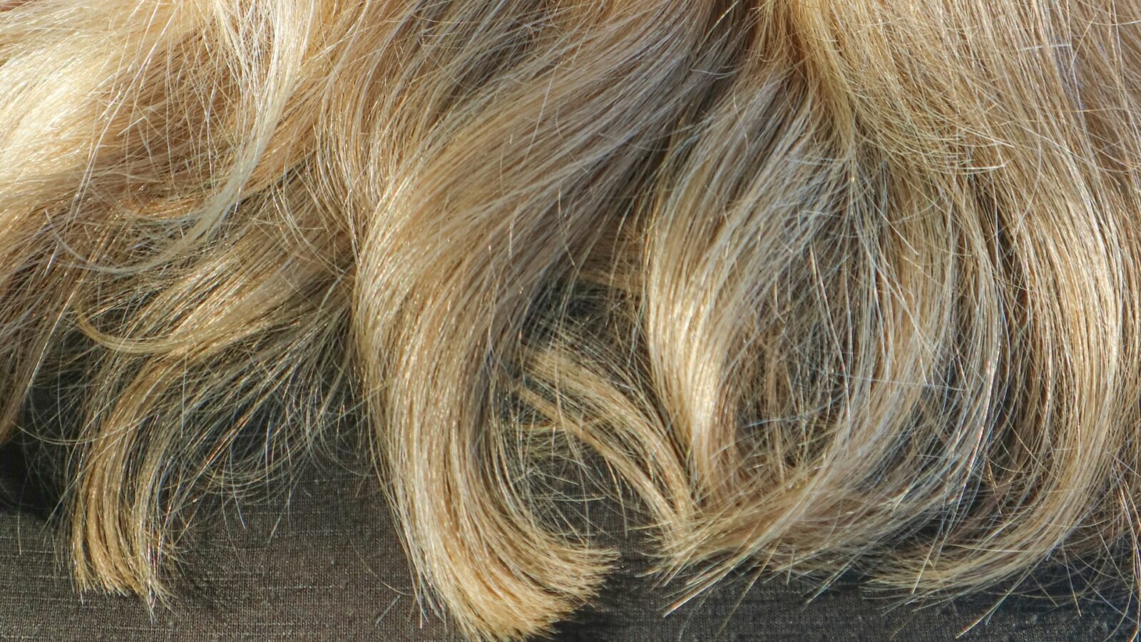 Why Blonde Hair Turns Dark After Coloring